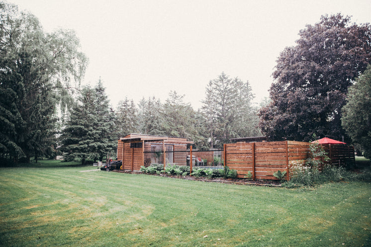 Fenced In Pool In Grassy Yard