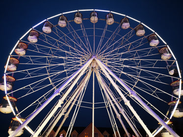 ferris wheel at night