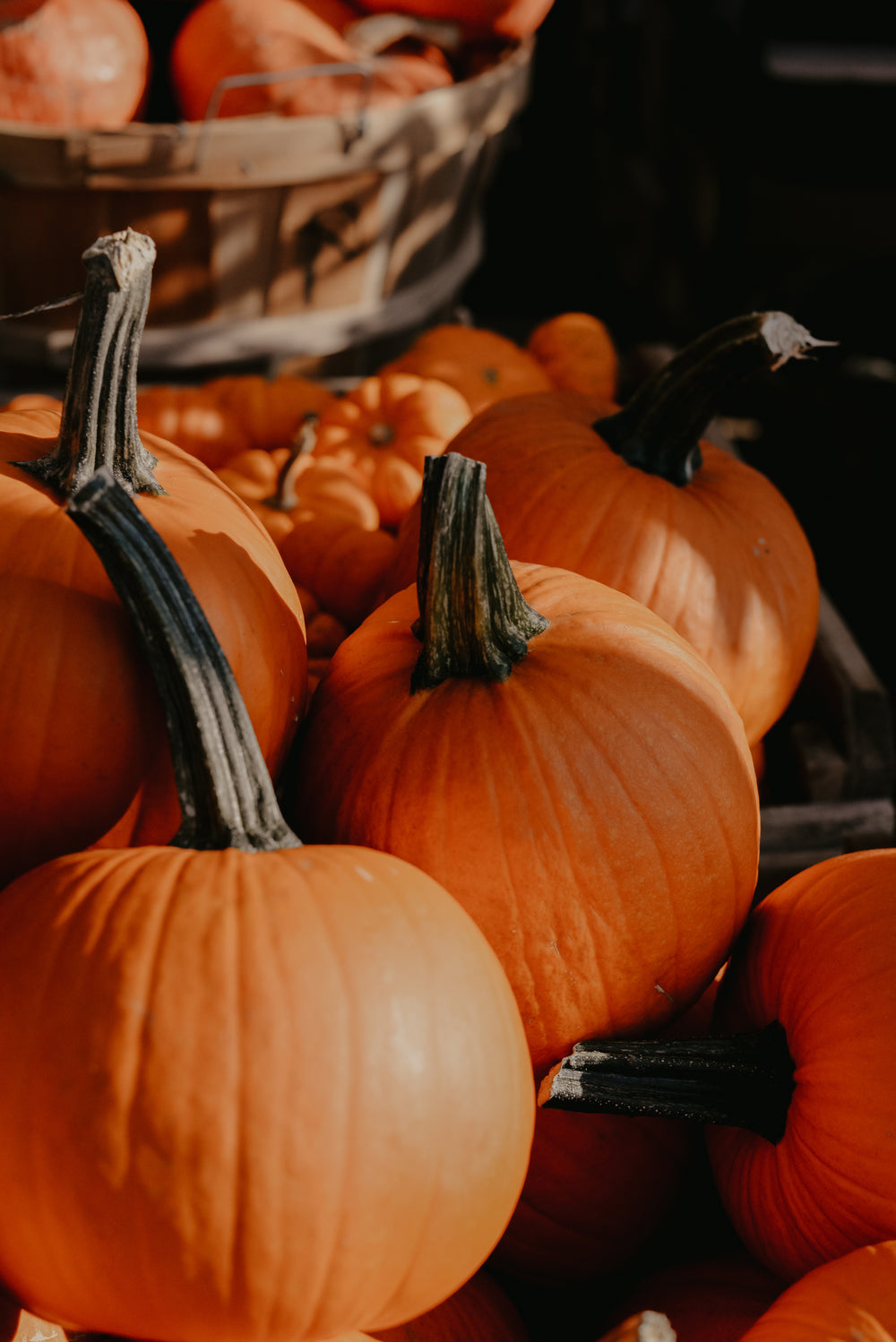 festive fall pumpkin pile