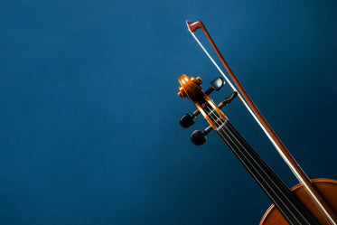 fiddle and bow on blue