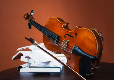 fiddle and bow rest on stack of books