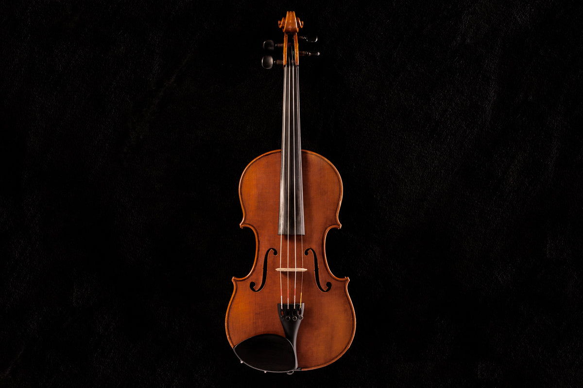 fiddle or violin on black
