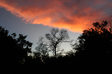 fiery evening sky