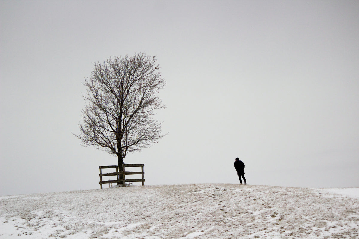 figure and tree on snowy hill