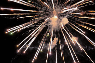 firework exploding into blossoming color