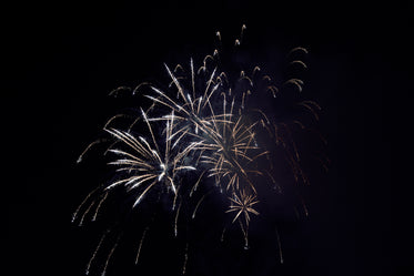 fireworks bursting through the night sky