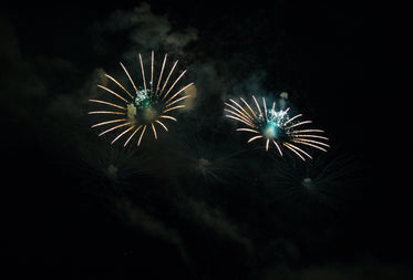 fireworks in night sky