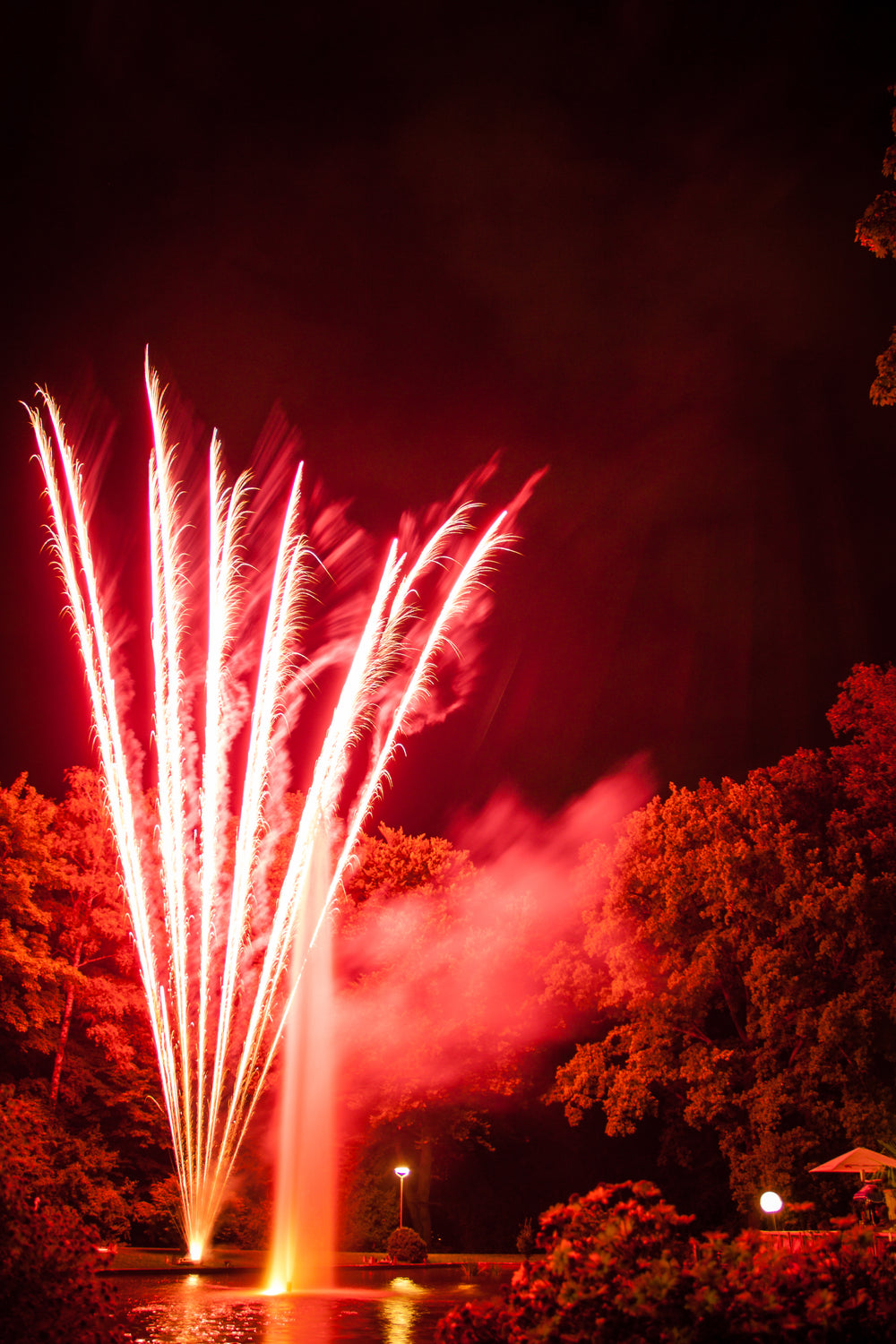 fireworks reflected in a pond surrounded by trees