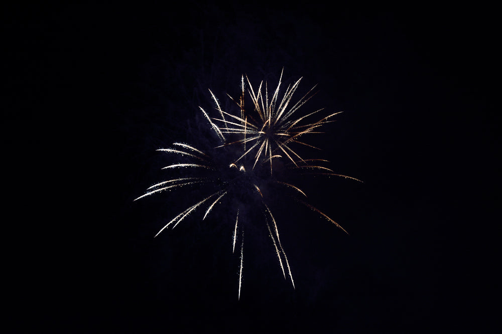 fireworks unfurl in the night sky