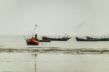 fishing boats grouped on the water