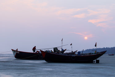 fishing boats on the shore