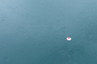 fishing bobber in water