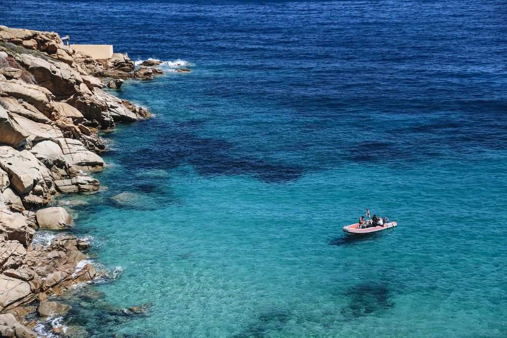 fishing in shallow blue waters