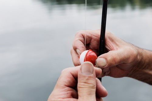 fishing line and bobber