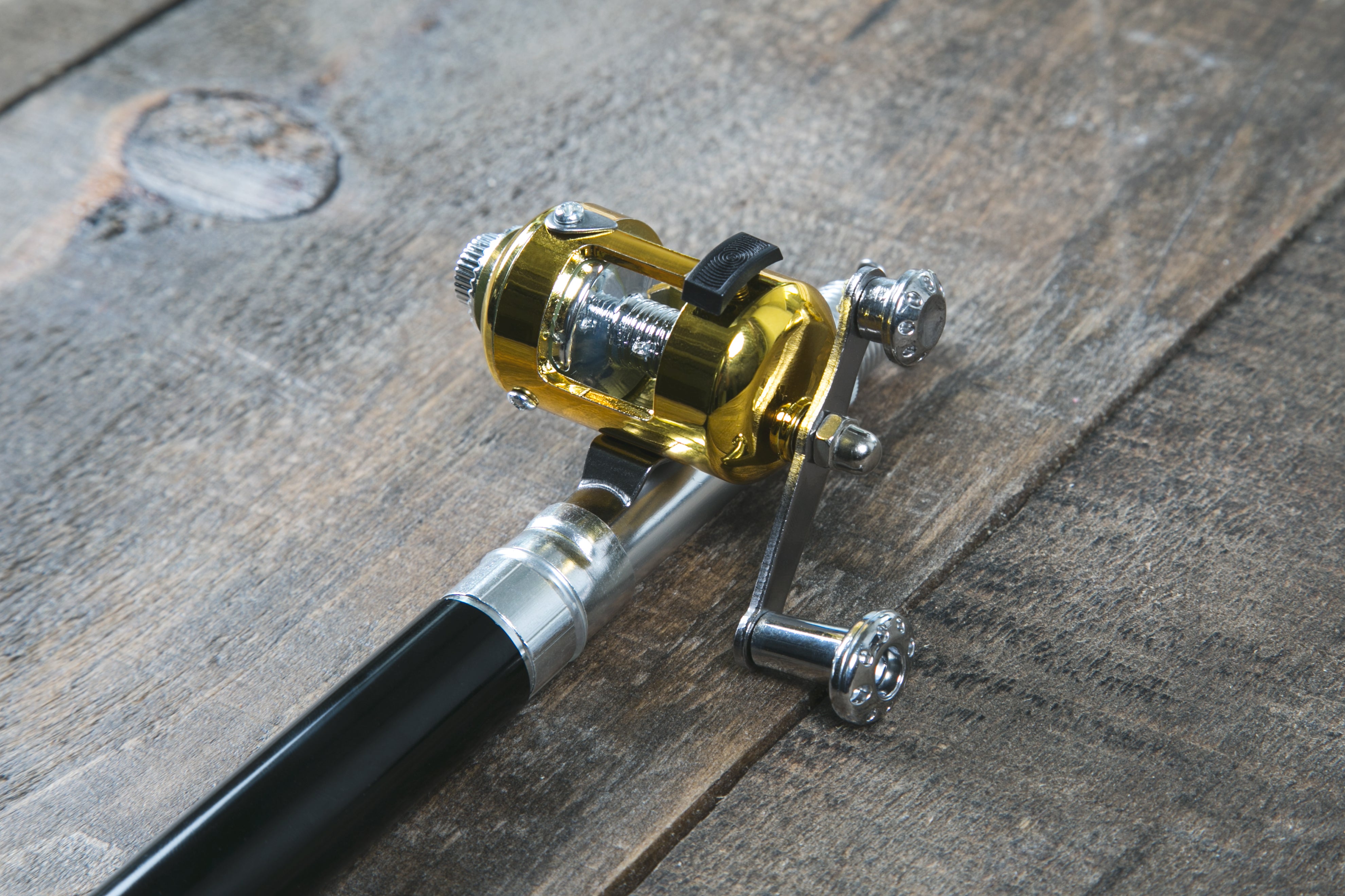 Browse Free HD Images of Fishing Rod & Reel