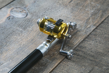 fishing rod & reel