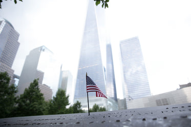 flag in new york