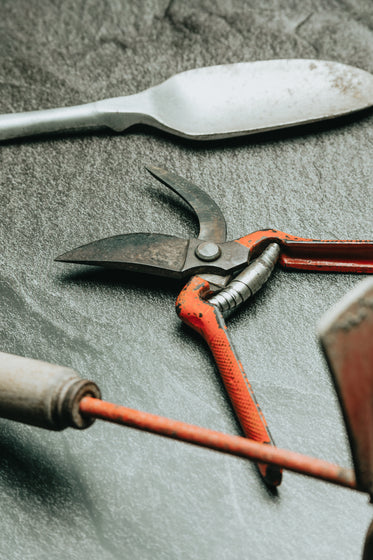 flatlay of gardening tools on dark grey