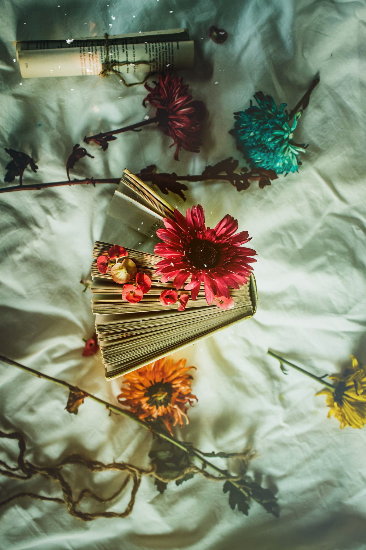 flatlay of hardcover books and colorful flowers