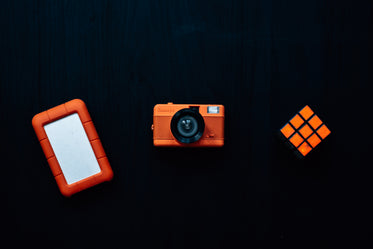 flatlay of orange objects in a line