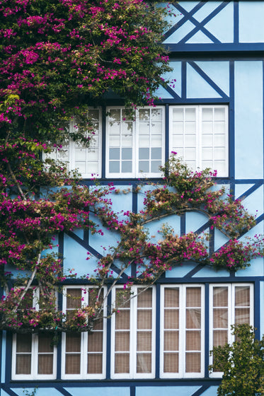 floral vines on house