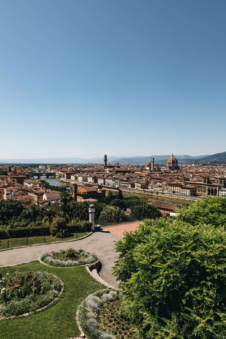 Florence City And Guarden