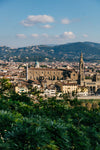 florence in the sunlight