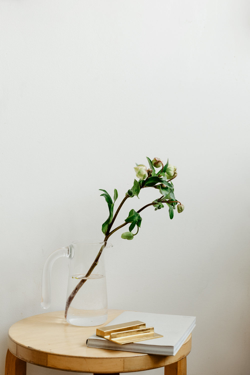 flower buds on a branch sit in a jug of water