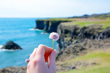 flower in hand in front of cliffs