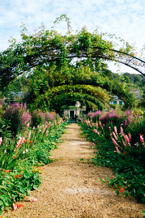 flower lined pathway with an archway overhead