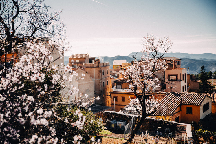 flowers-and-geese-in-spring.jpg?width=74