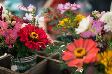 flowers in mason jars