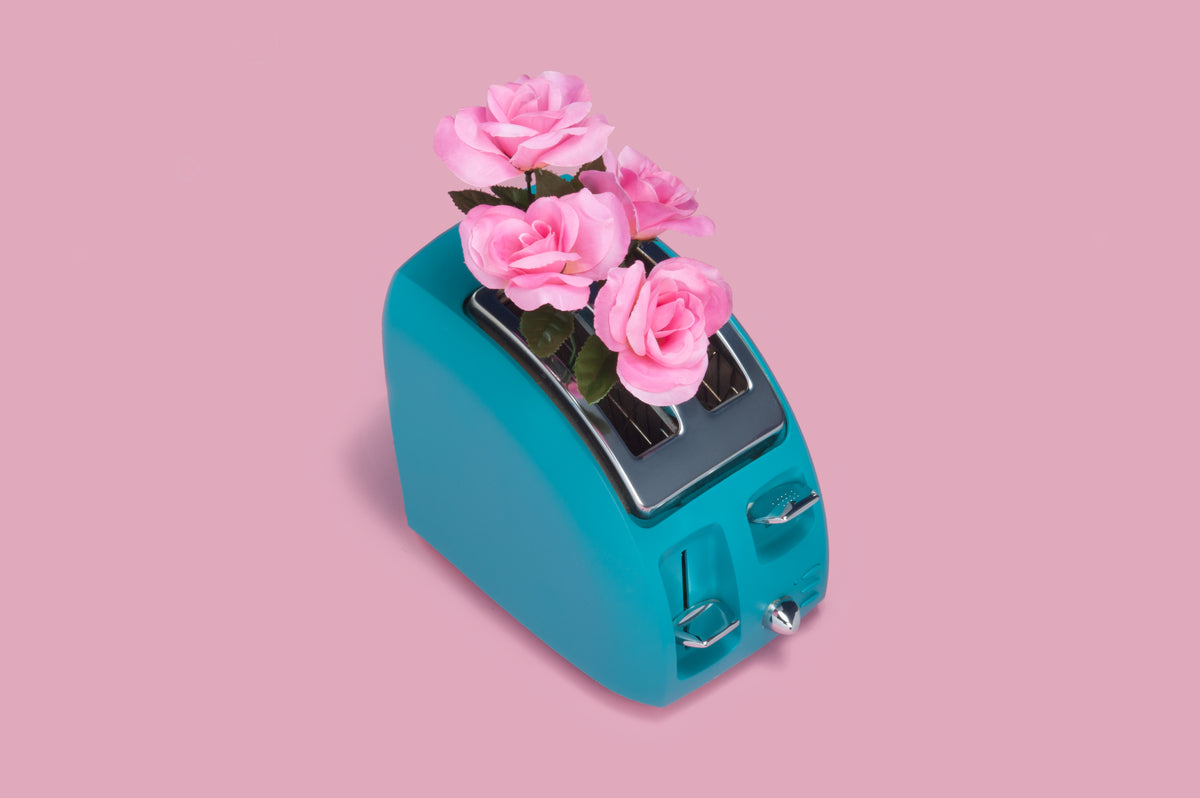 flowers in toaster