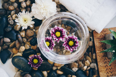 flowers in water on pebbles