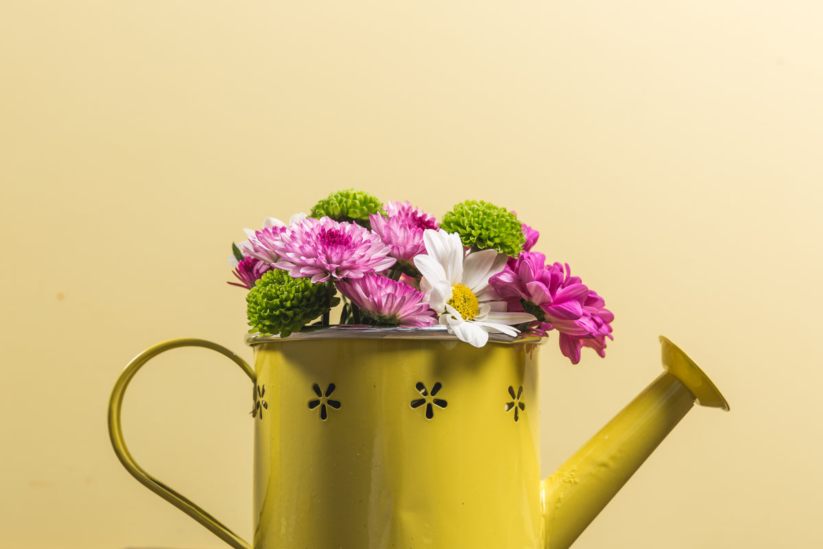 flowers in yellow watering can