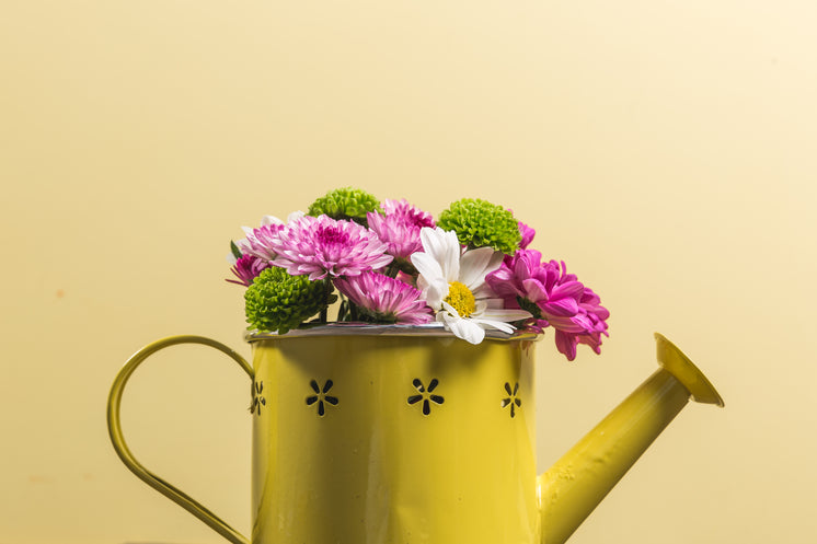 flowers-in-yellow-watering-can.jpg?width=746&forma<a%20href=
