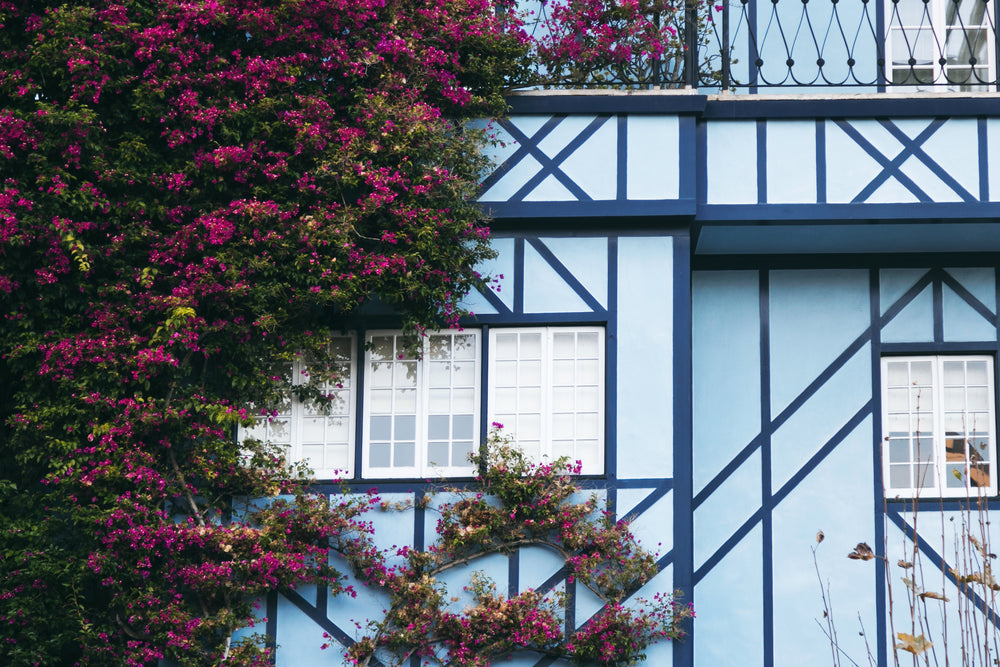 flowers on house exterior