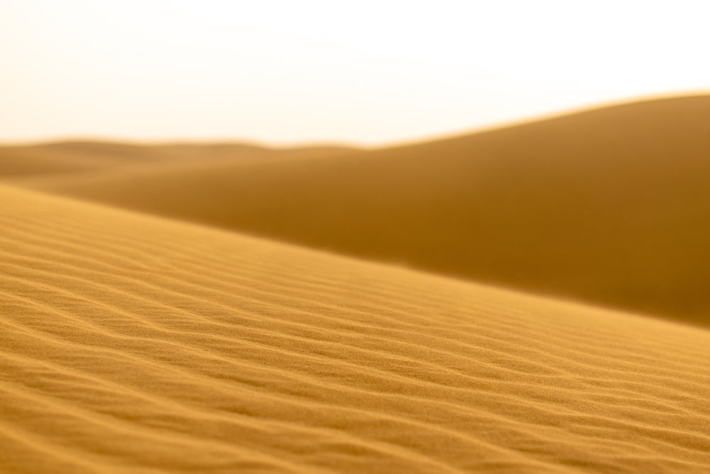 focused view of the desert