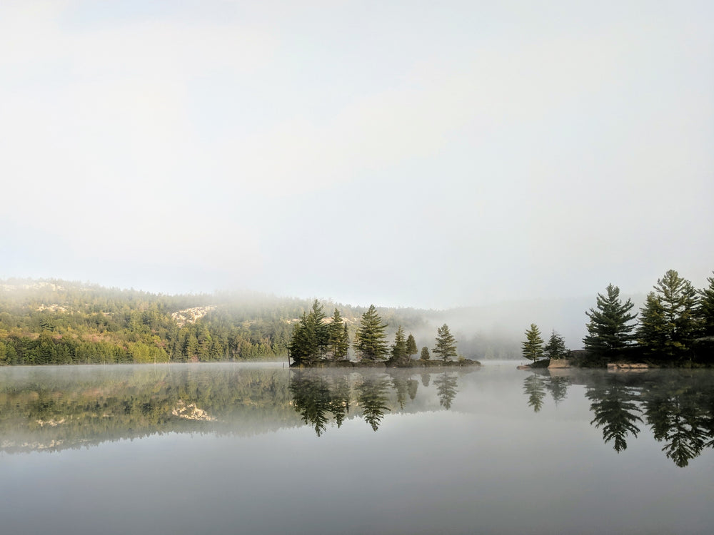 foggy landscape reflected in lake