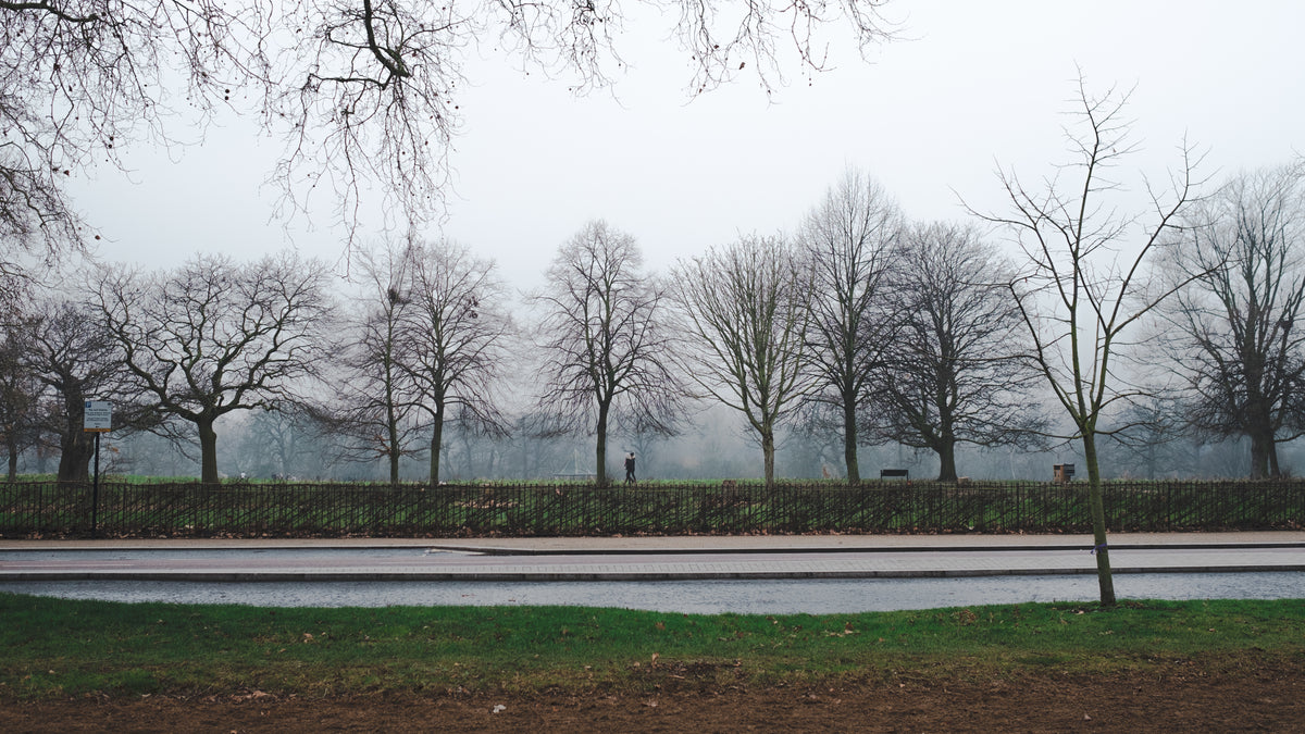 雾蒙蒙的伦敦公园