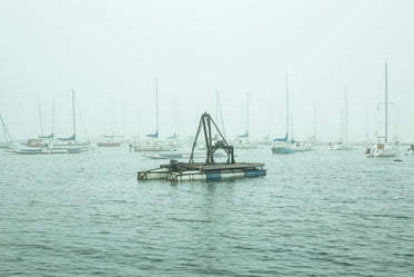 foggy marina