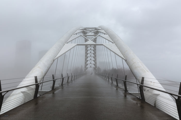 foggy-walking-bridge.jpg?width=746&forma