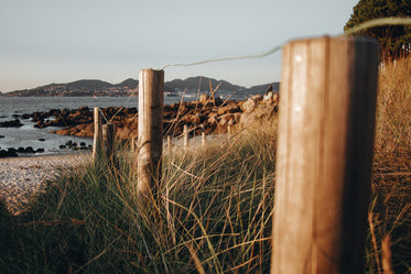 following fence line to the shore