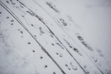 footprints in snow