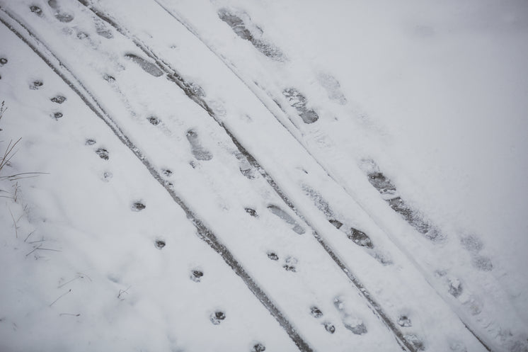 雪中的足跡