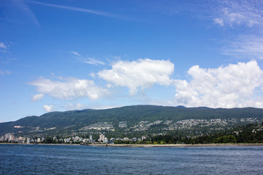 forest city by the sea