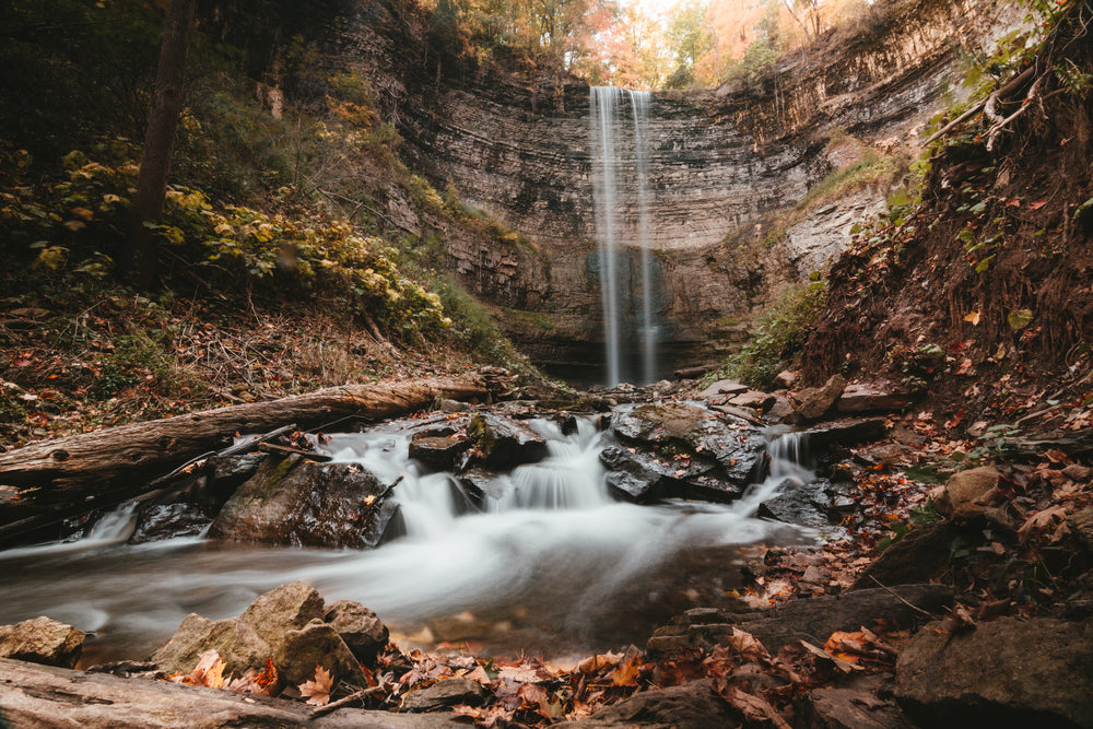 forest waterfall and river