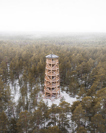 forest with a tall tower in the winter