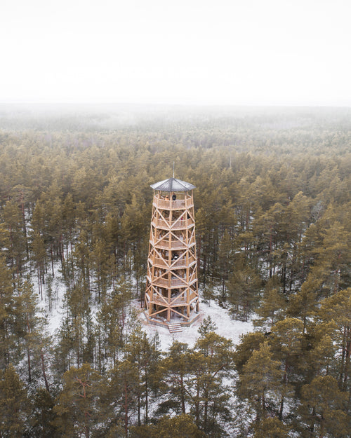 forest with a tall tower in the winter