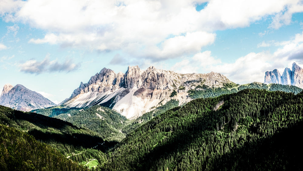 forested valley ending at mountain